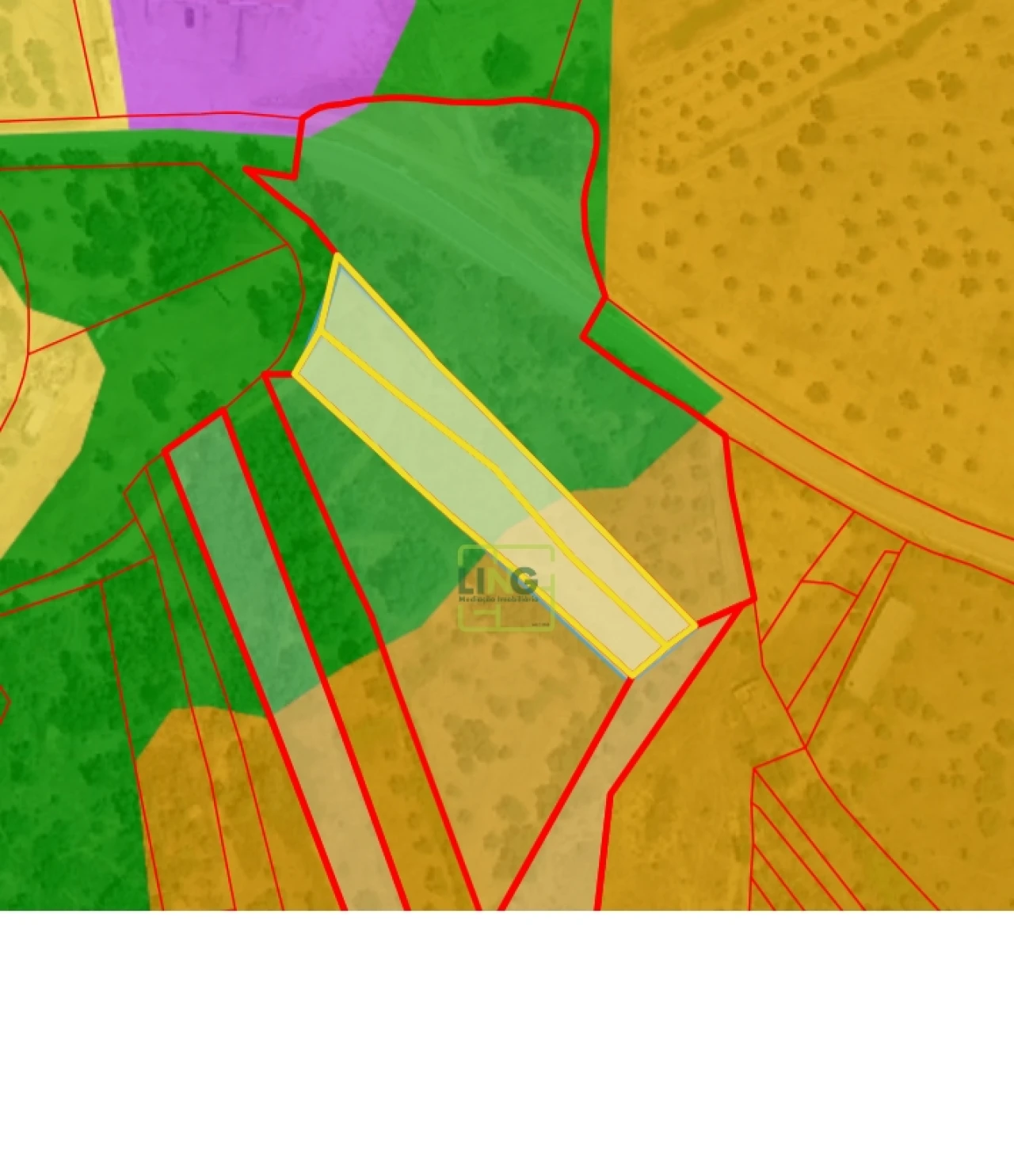 Terreno Agricola ou Rústico para Venda em Ninho do Açor e Sobral do Campo Foto 3