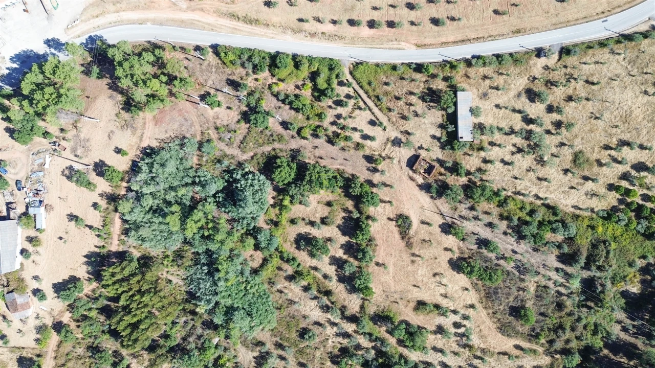 Terreno Agricola ou Rústico para Venda em Ninho do Açor e Sobral do Campo Foto 7