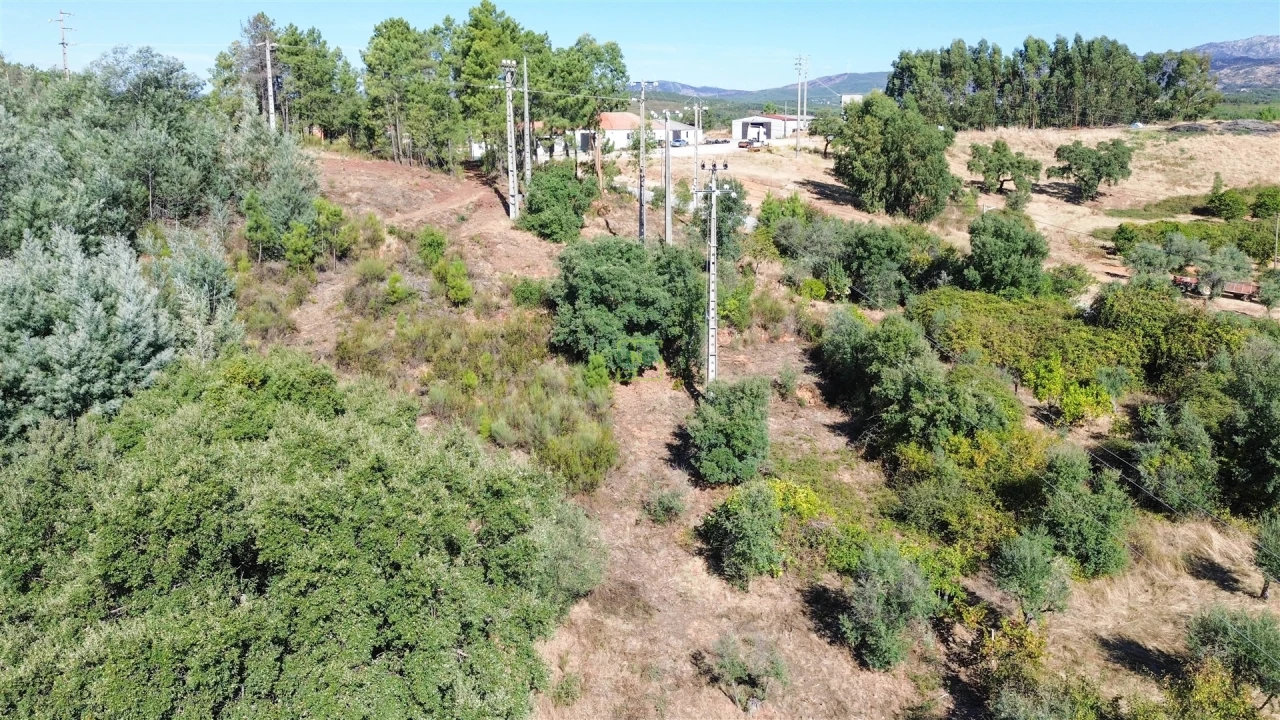 Terreno Agricola ou Rústico para Venda em Ninho do Açor e Sobral do Campo Foto 16