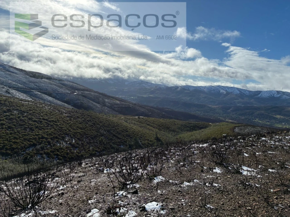 Terreno para Venda em Lavacolhos Foto 13