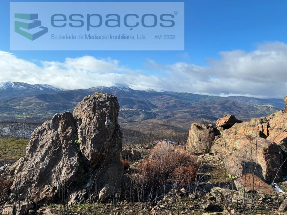 Terreno para Venda em Lavacolhos Foto 15