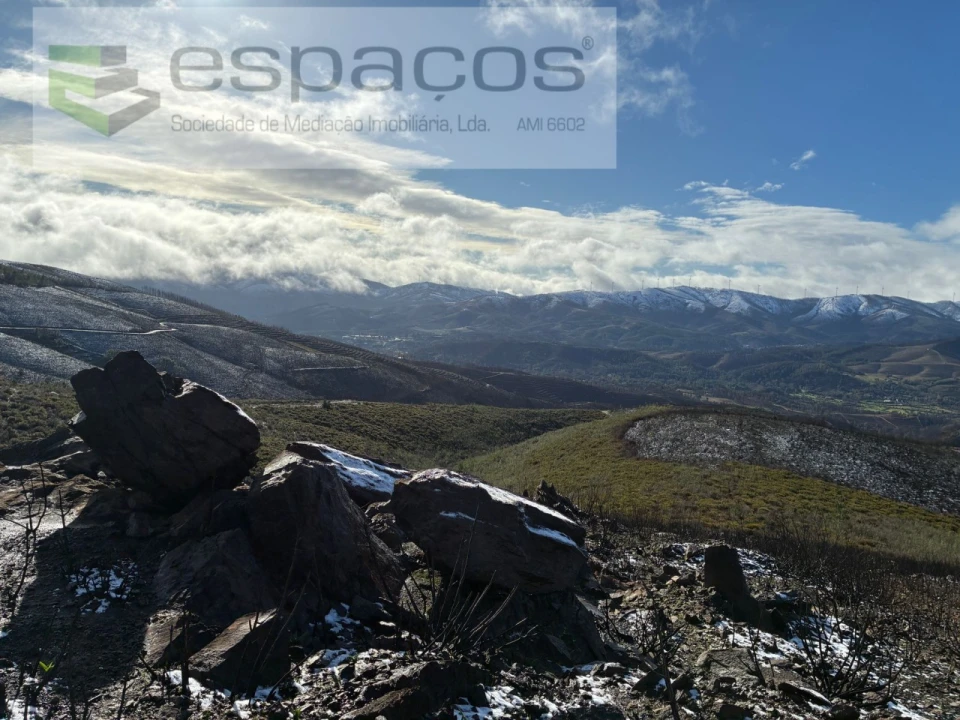 Terreno para Venda em Lavacolhos Foto 18