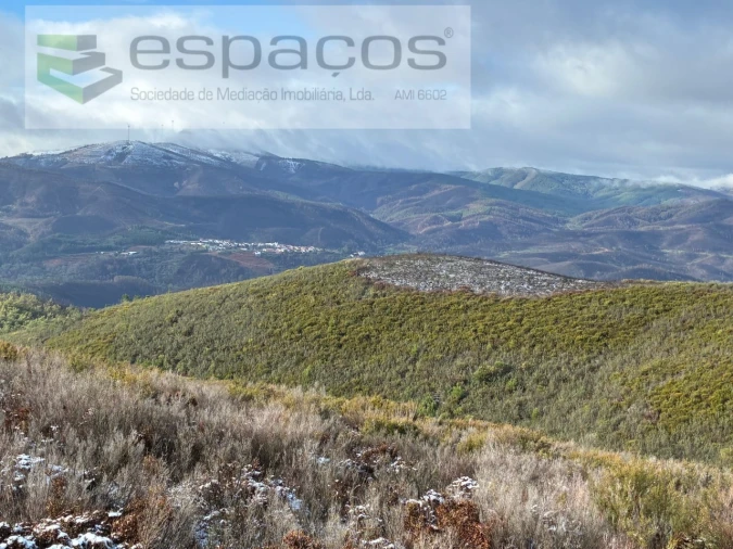 Terreno para Venda em Lavacolhos Foto 8
