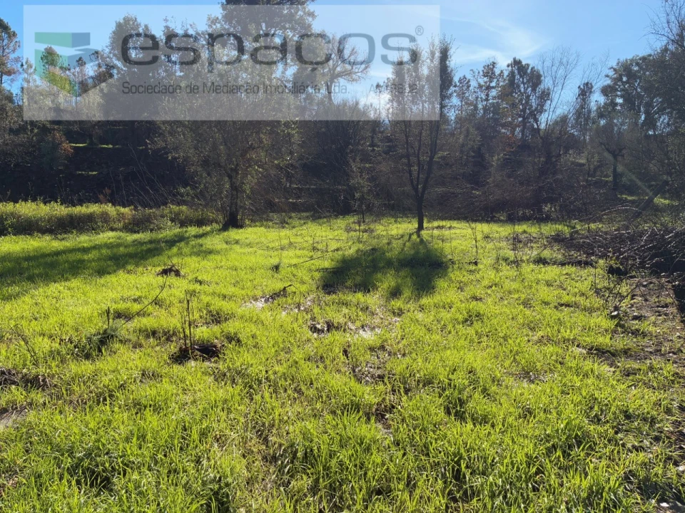 Quinta para Venda em Lavacolhos Foto 7