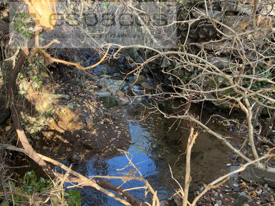 Quinta para Venda em Lavacolhos Foto 5