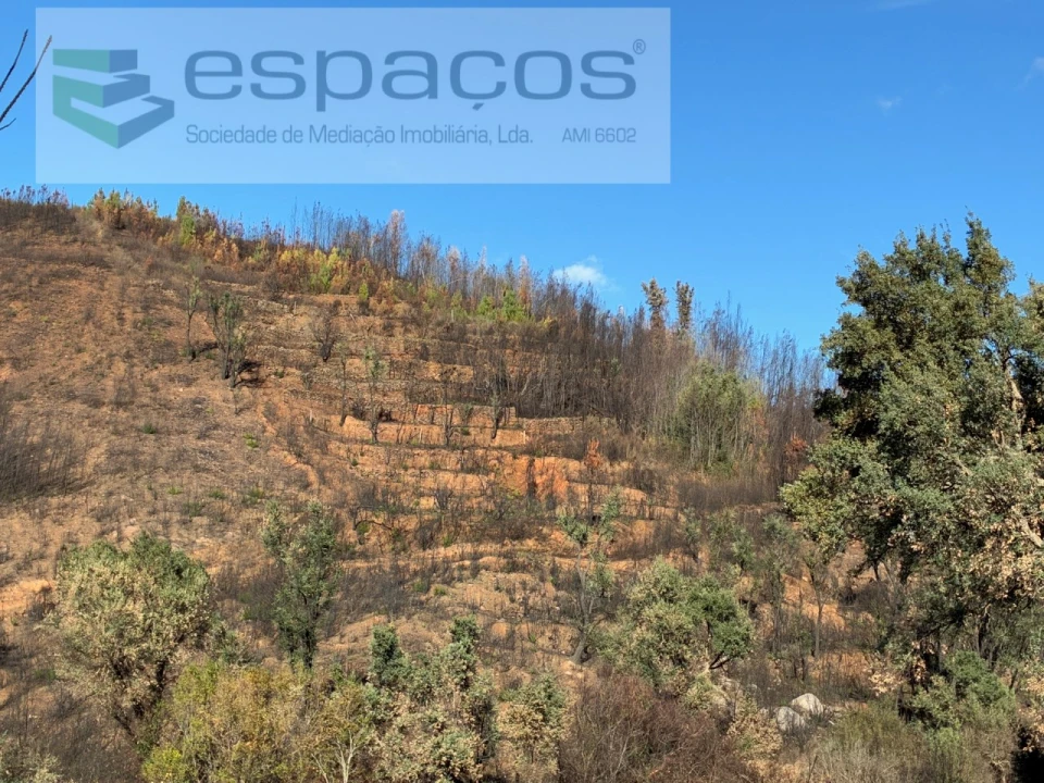 Quinta para Venda em Lavacolhos Foto 10