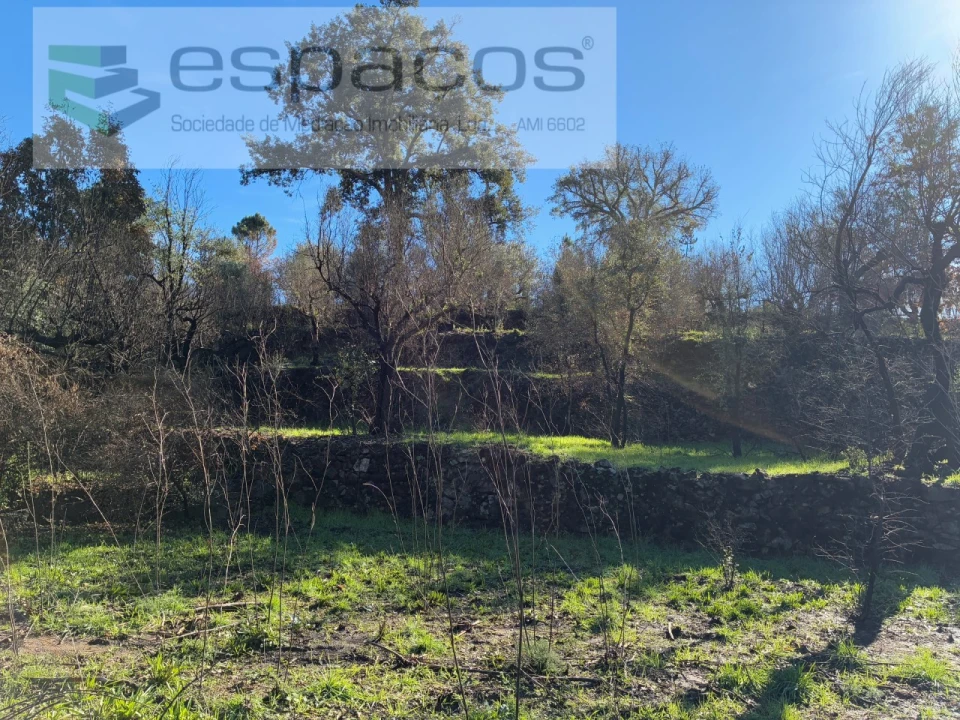 Quinta para Venda em Lavacolhos Foto 11