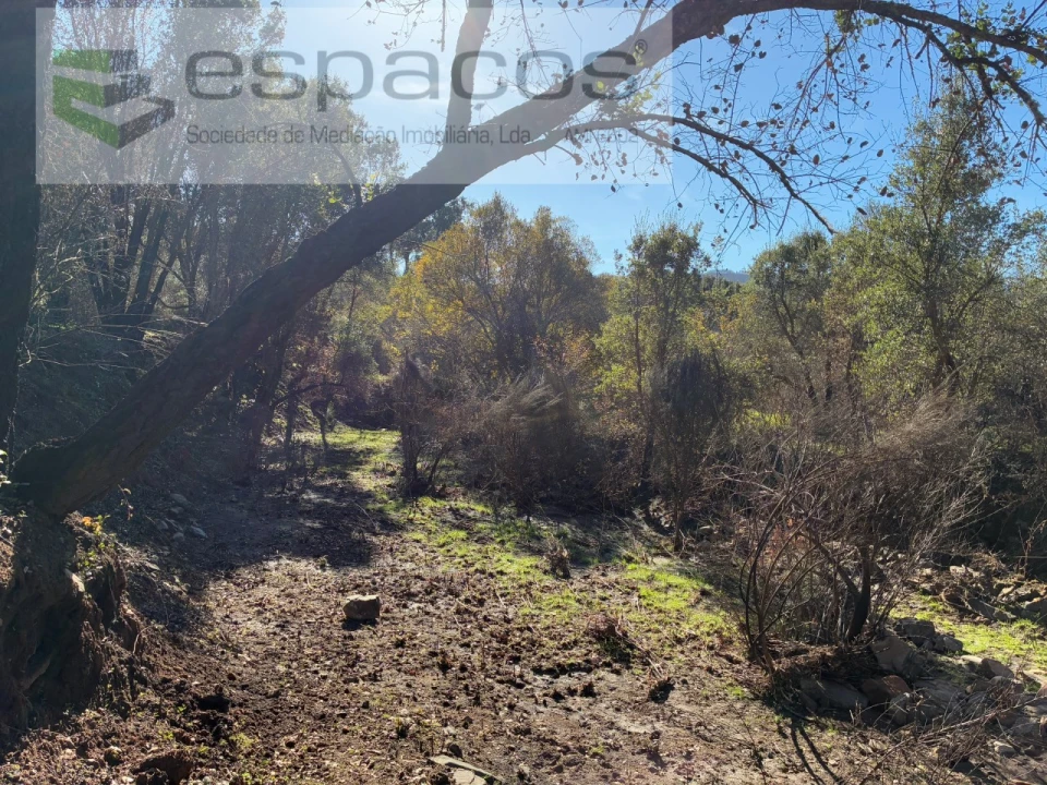 Quinta para Venda em Lavacolhos Foto 21