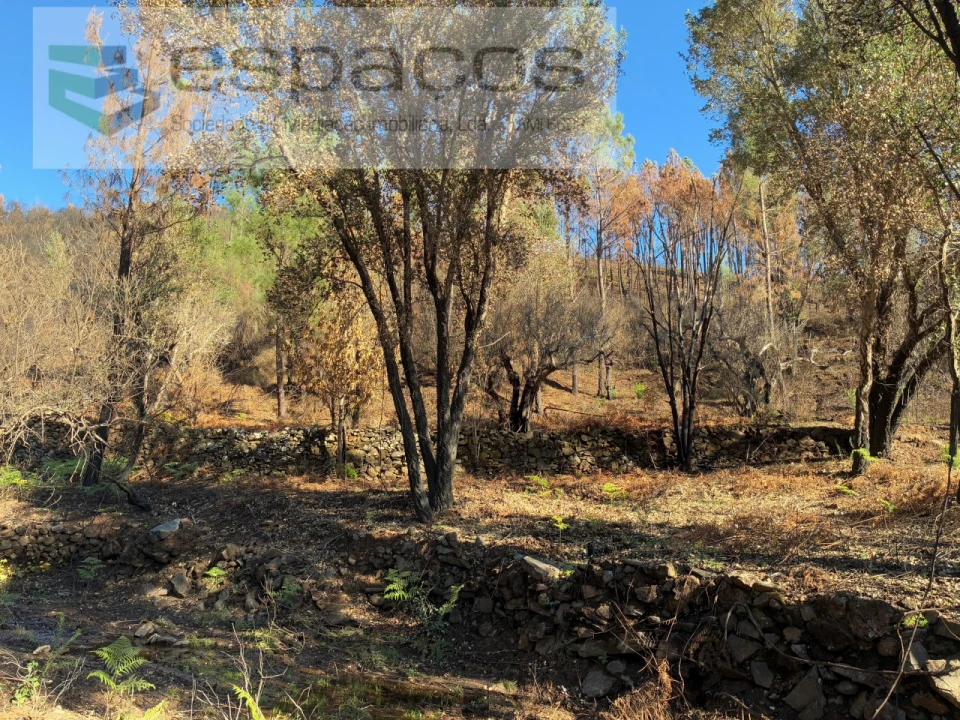 Quinta para Venda em Lavacolhos Foto 23