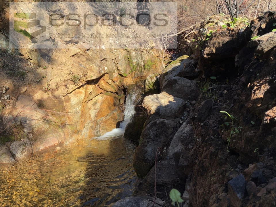 Quinta para Venda em Lavacolhos Foto 15