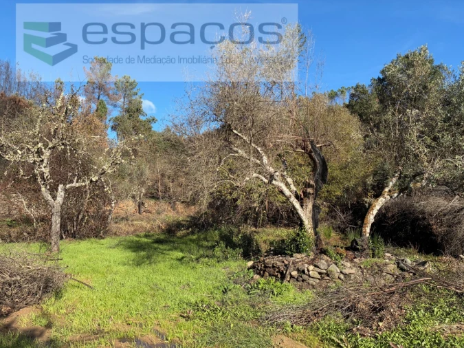 Quinta para Venda em Lavacolhos Foto 2