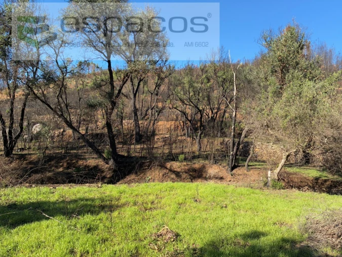 Quinta para Venda em Lavacolhos Foto 6