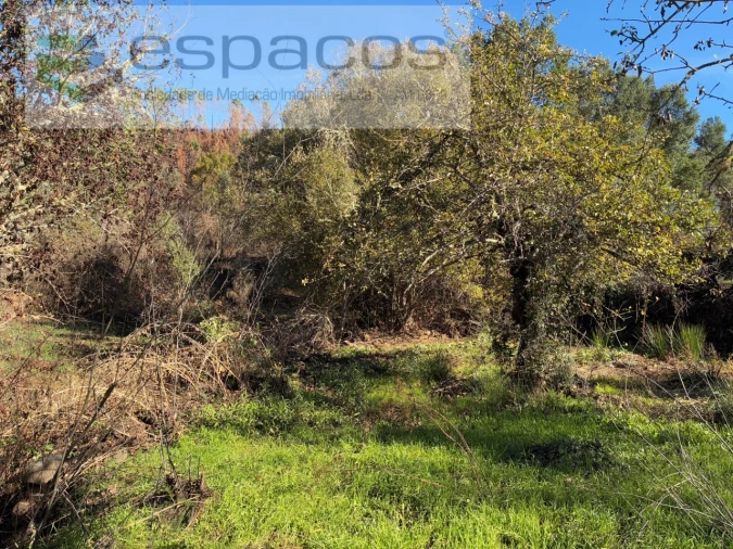 Quinta para Venda em Lavacolhos Foto 8