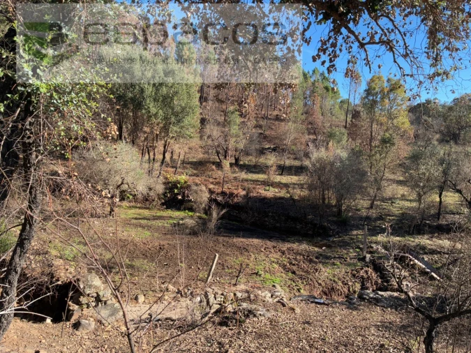 Quinta para Venda em Lavacolhos Foto 18