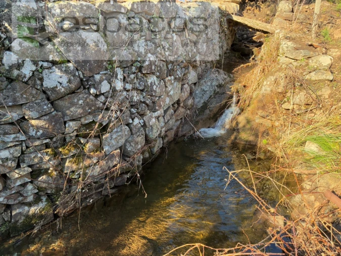 Quinta para Venda em Lavacolhos Foto 16