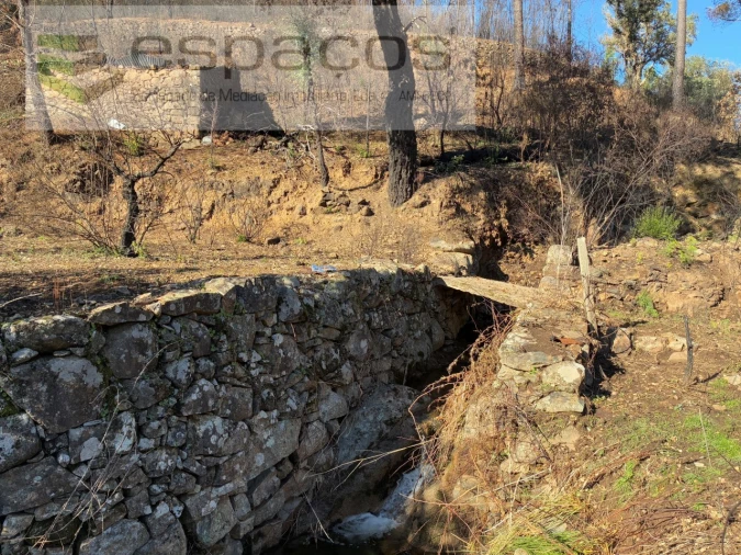 Quinta para Venda em Lavacolhos Foto 17