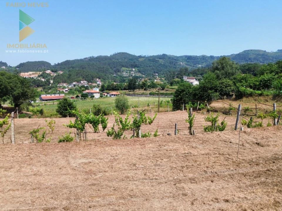 Terreno para Venda em Vale Foto 4