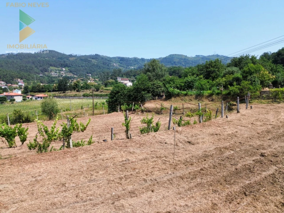 Terreno para Venda em Vale Foto 8