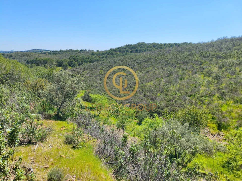 Terreno para Venda em Vaqueiros Foto 11