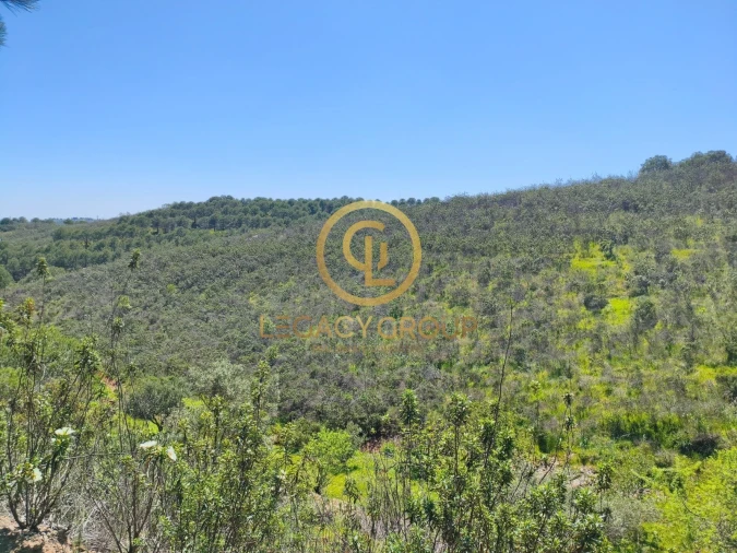 Terreno para Venda em Vaqueiros Foto 8