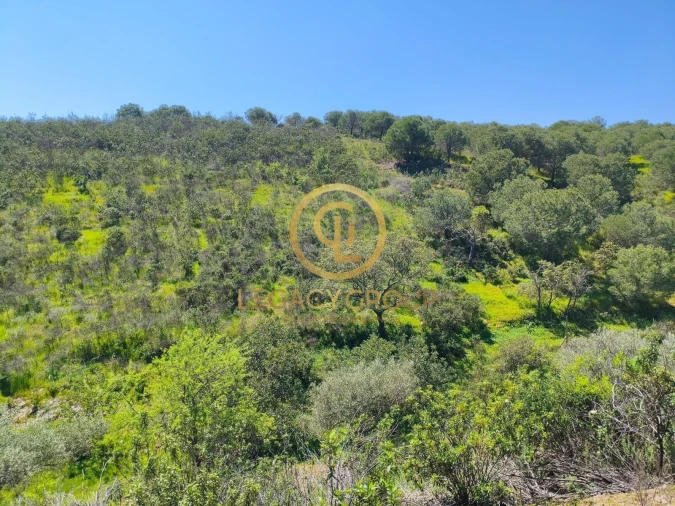 Terreno para Venda em Vaqueiros Foto 9