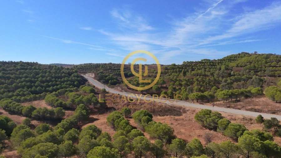 Terreno para Venda em Vaqueiros Foto 5