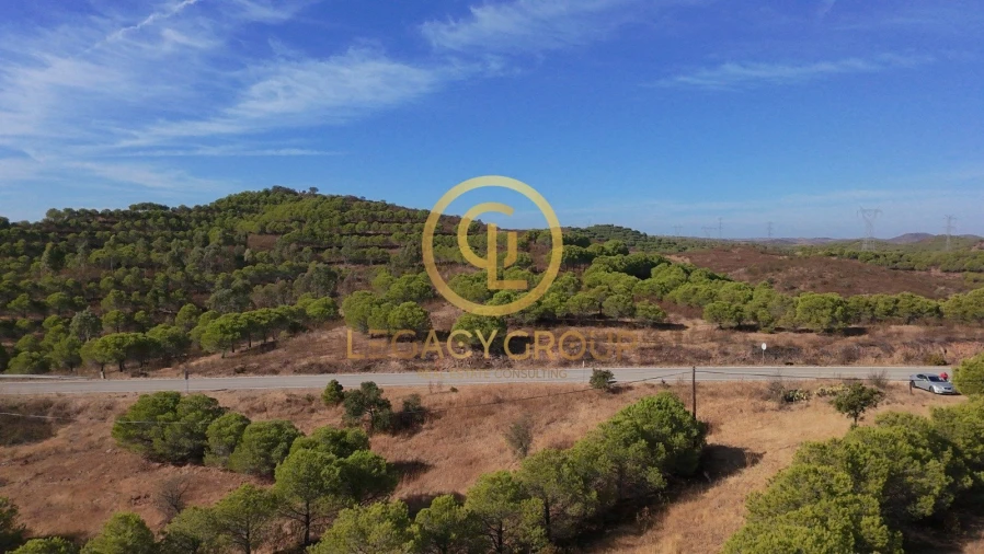 Terreno para Venda em Vaqueiros Foto 6