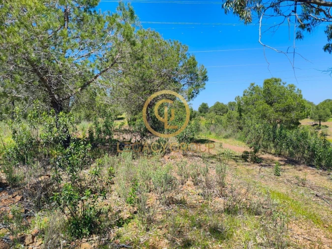 Terreno para Venda em Vaqueiros Foto 6