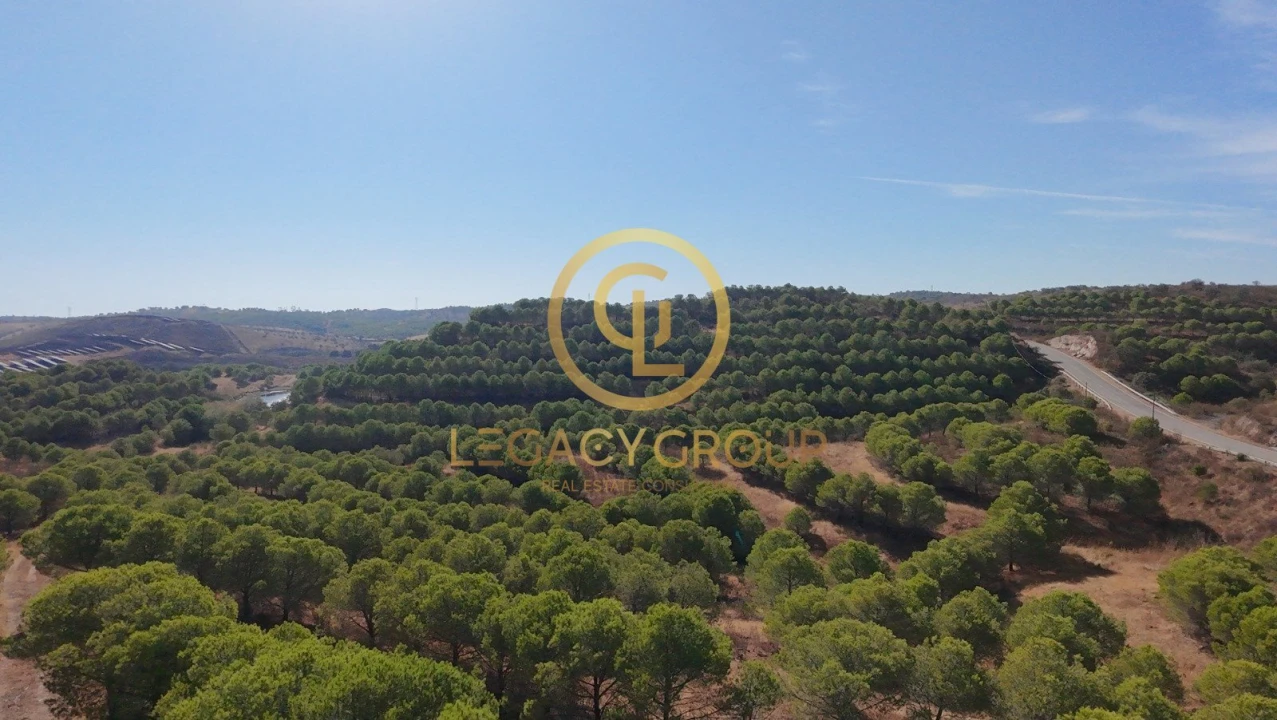 Terreno para Venda em Vaqueiros Foto 4