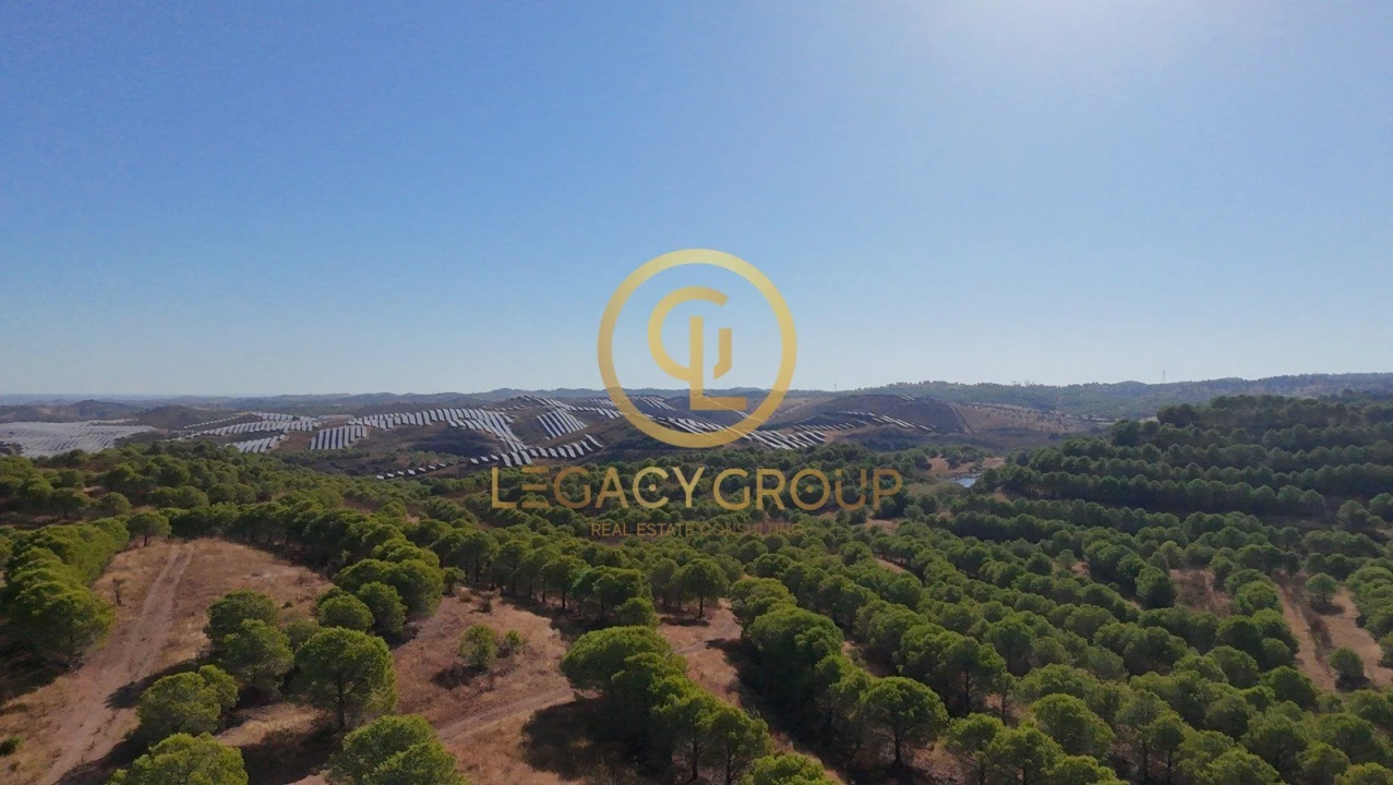 Terreno para Venda em Vaqueiros Foto 8