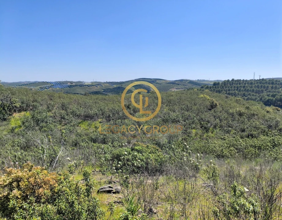 Terreno para Venda em Vaqueiros Foto 12