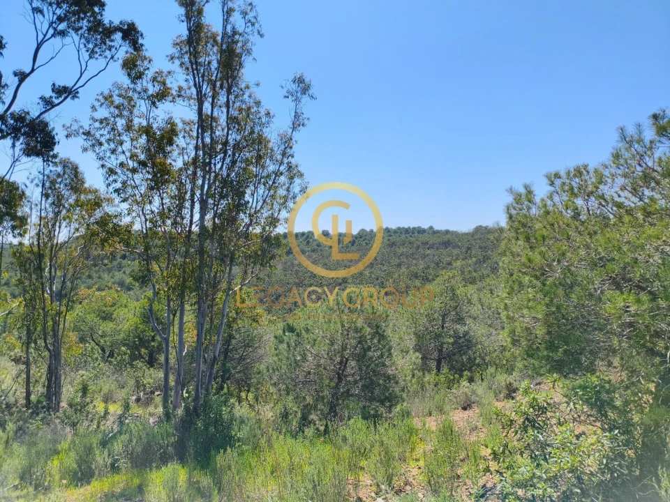 Terreno para Venda em Vaqueiros Foto 7