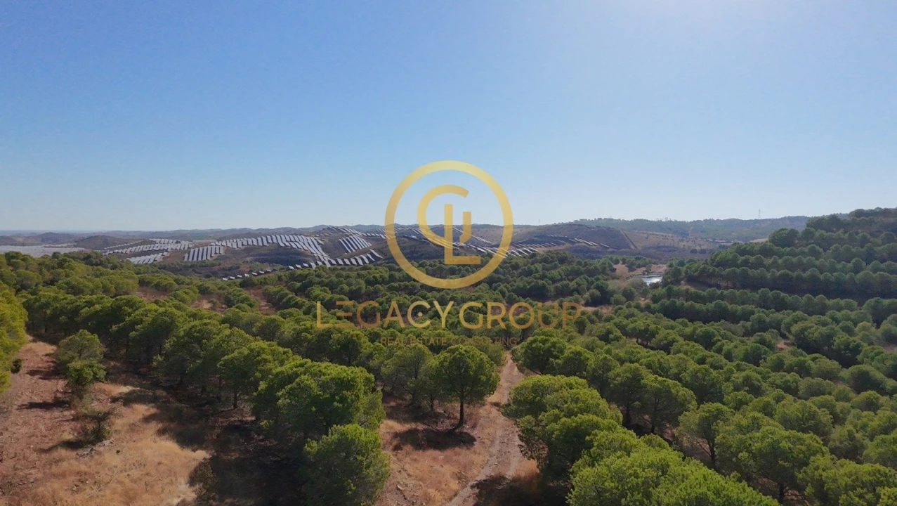 Terreno para Venda em Vaqueiros Foto 2
