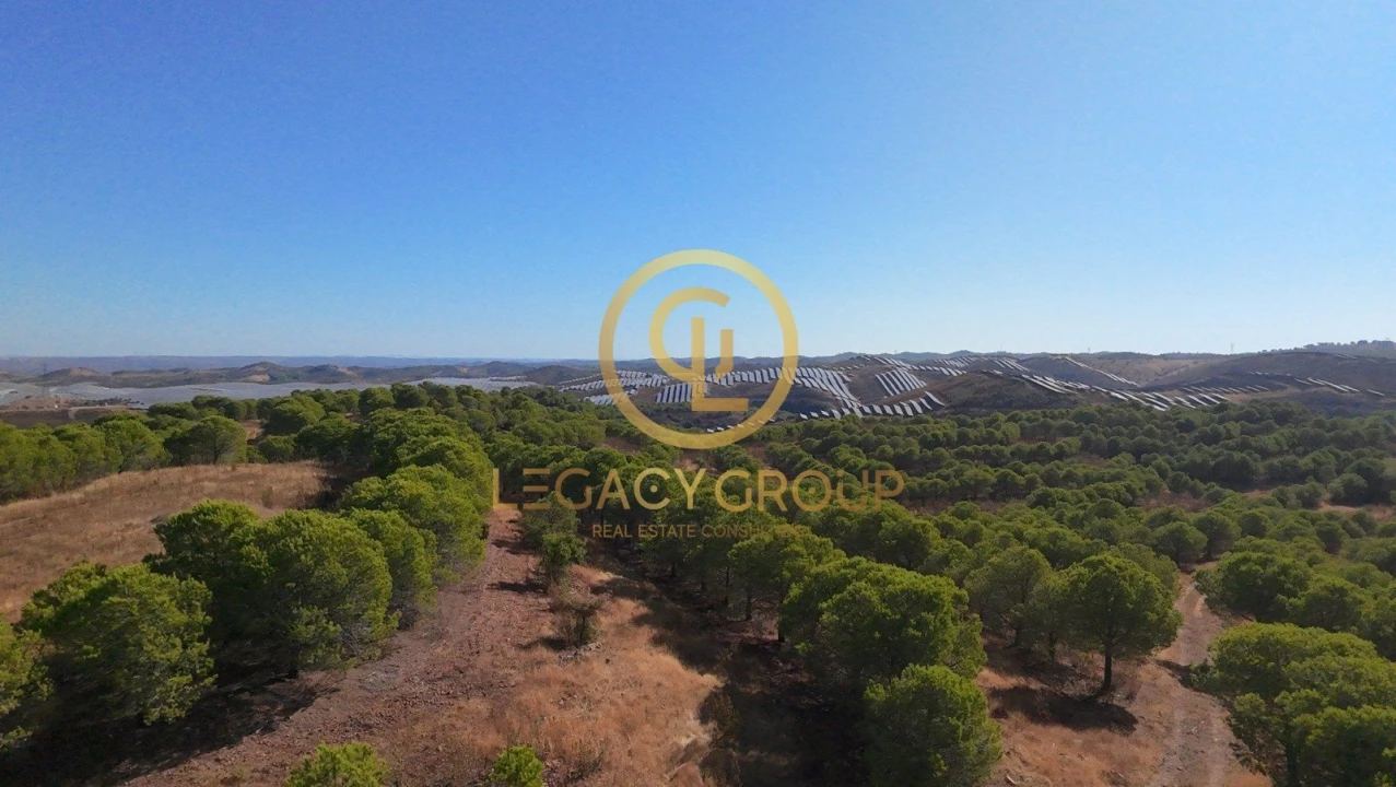 Terreno para Venda em Vaqueiros Foto 3