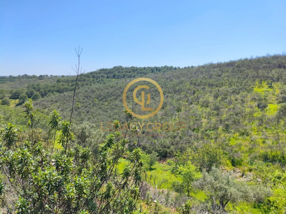 Terreno para Venda em Vaqueiros Foto 10