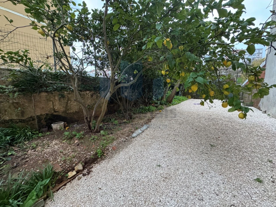 Moradia T4 para Arrendamento em Sé Nova, Santa Cruz, Almedina e São Bartolomeu Foto 17