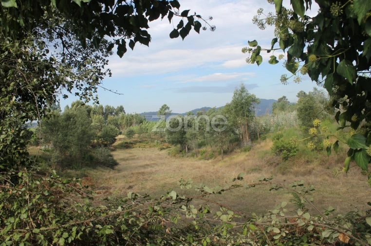 Terreno para Venda em Melres e Medas Foto 9