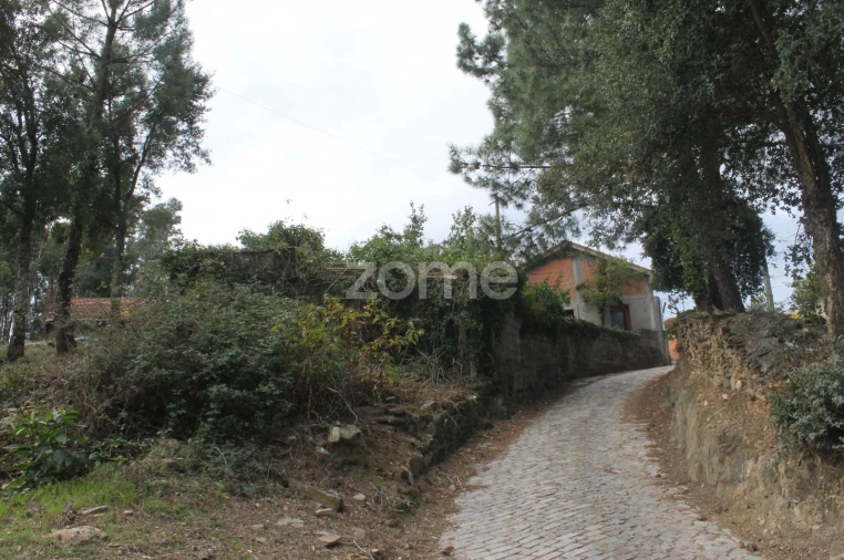 Terreno para Venda em Melres e Medas Foto 14
