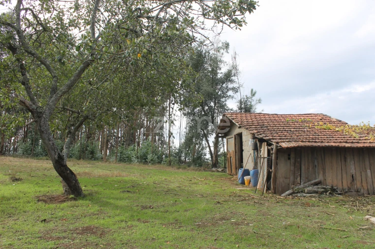 Terreno para Venda em Melres e Medas Foto 24
