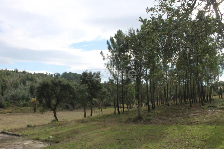 Terreno para Venda em Melres e Medas Foto 26