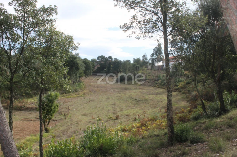 Terreno para Venda em Melres e Medas Foto 7