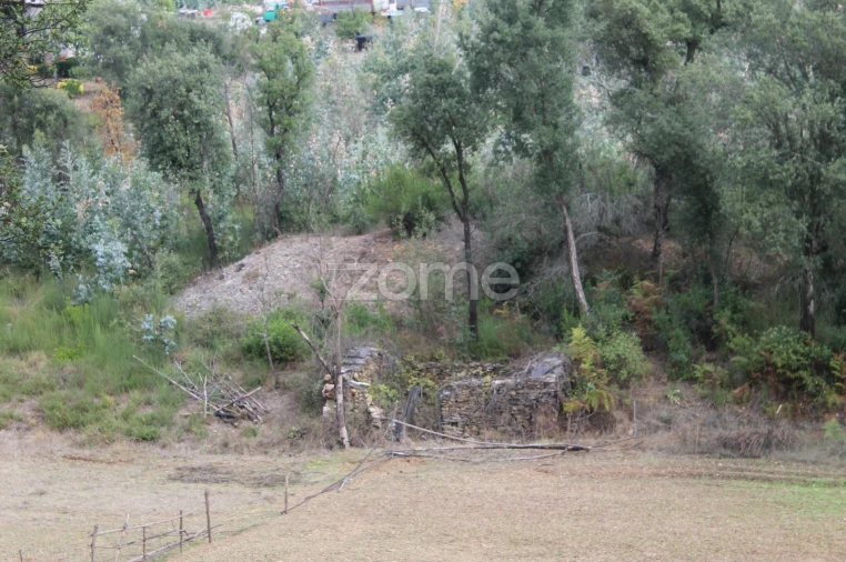 Terreno para Venda em Melres e Medas Foto 35