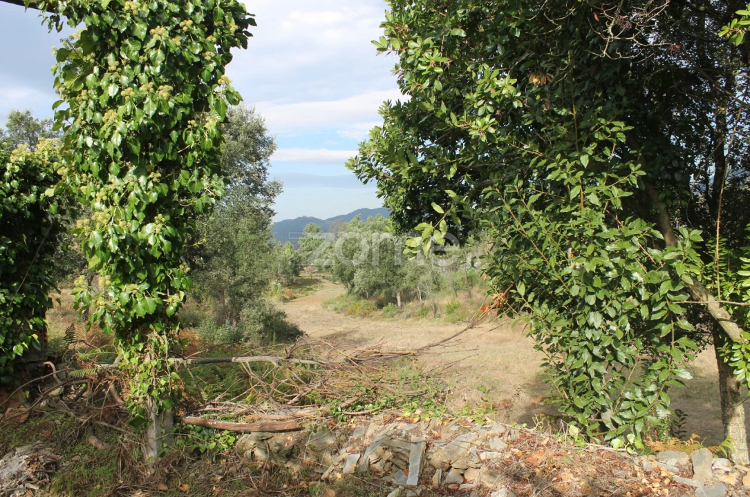 Terreno para Venda em Melres e Medas Foto 10