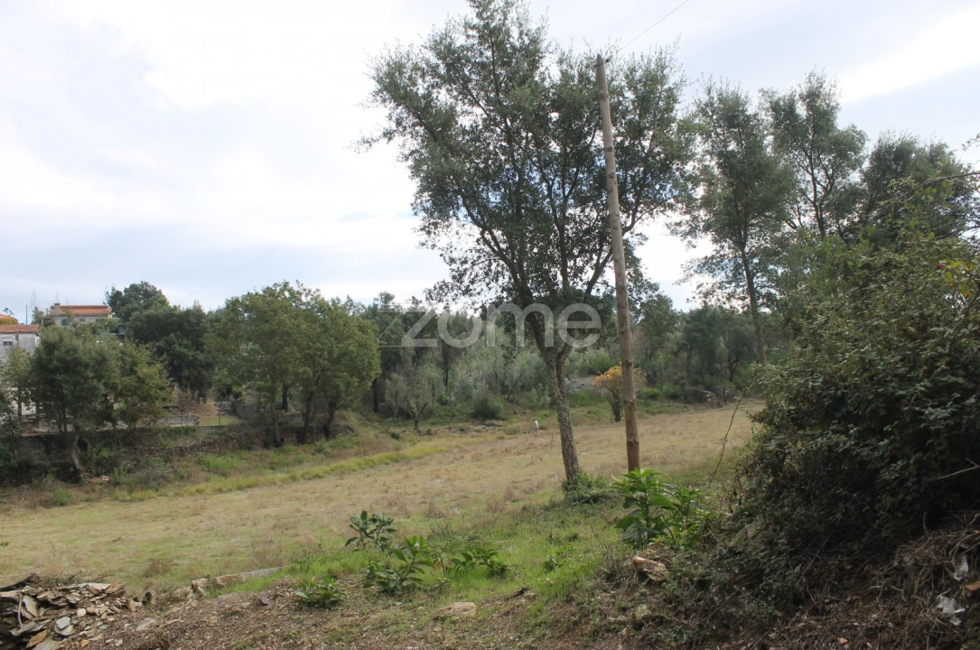 Terreno para Venda em Melres e Medas Foto 13