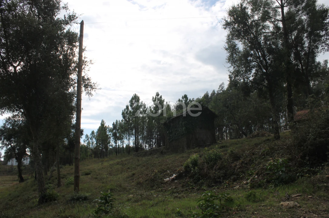 Terreno para Venda em Melres e Medas Foto 18