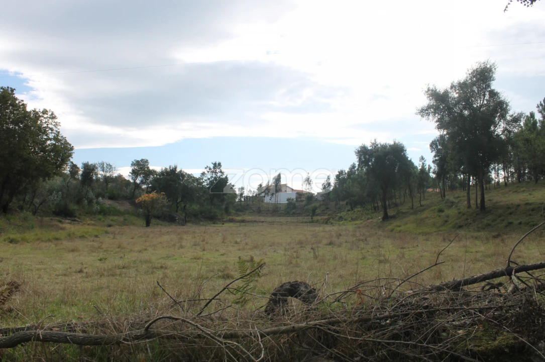 Terreno para Venda em Melres e Medas Foto 17
