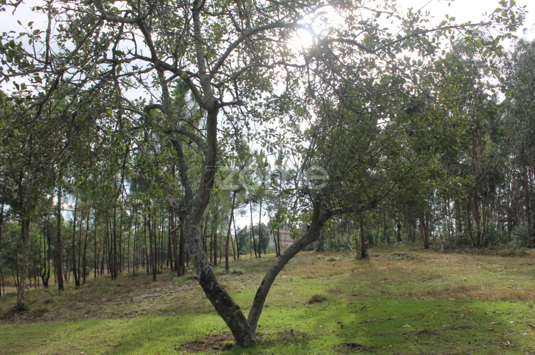 Terreno para Venda em Melres e Medas Foto 25