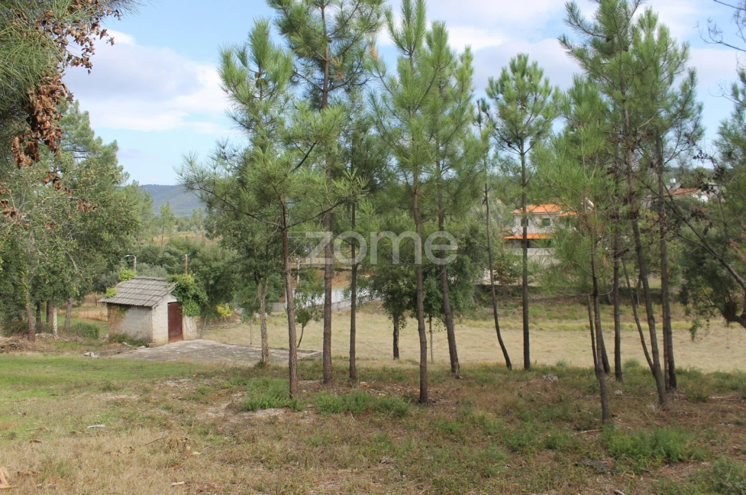 Terreno para Venda em Melres e Medas Foto 23