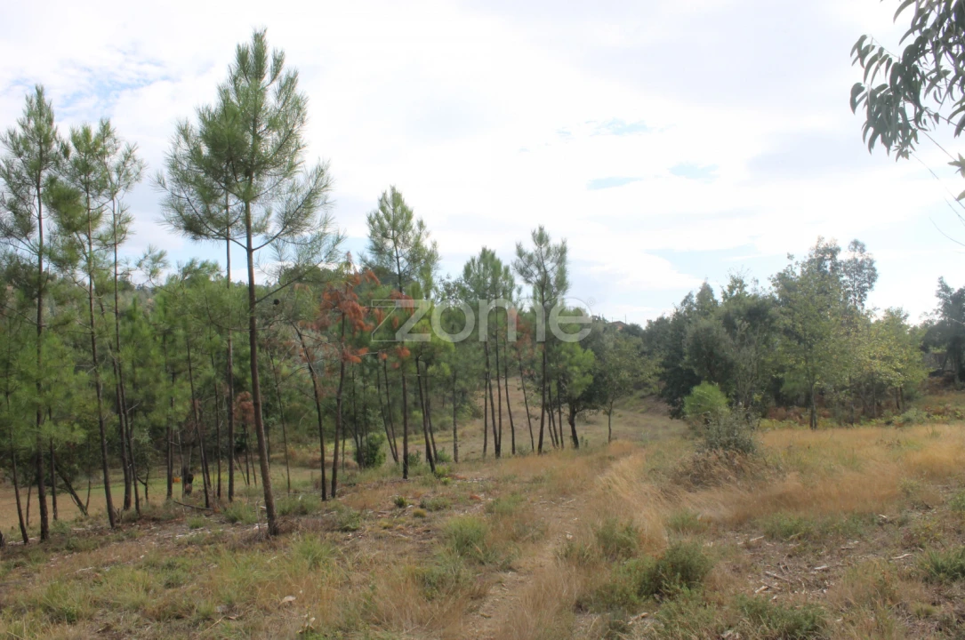 Terreno para Venda em Melres e Medas Foto 27