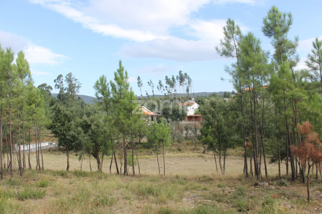 Terreno para Venda em Melres e Medas Foto 29